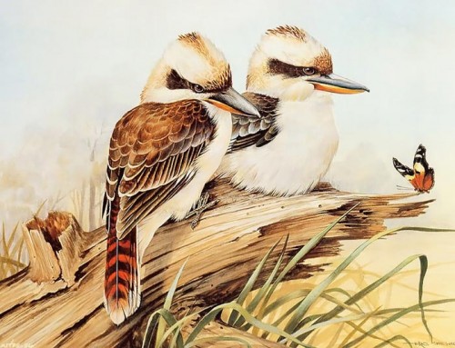 دانلود نقاشی های زیبا از پرندگان