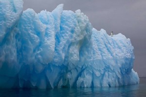 عکس دیوارهای یخی، عکس یخ های قطب شمال، عکس صخره های یخی، غکس تکه های یخی