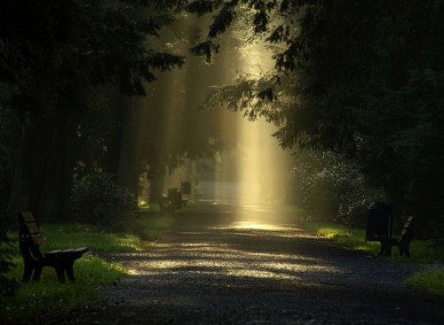 تصاویر زیبای طبیعت سری اول