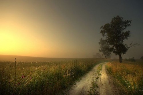 تصاویر زیبای طبیعت سری اول