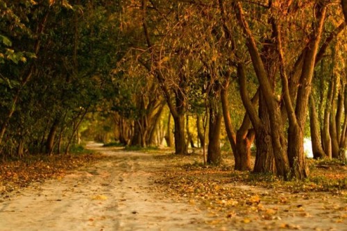 تصاویر زیبای طبیعت سری اول