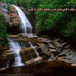دانلود وکتور آرم و لوگوی دانشگاه جامع علمی و کاربردی 