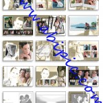 عکس های بسیار زیبا از دنیای حیوانات شماره 1