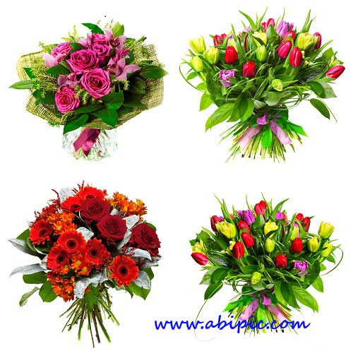 دانلود تصاویر شاتر استوک دسته گل سری 2 Stock Photo - Flowers Bouquet