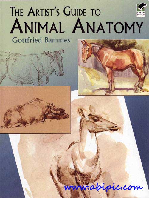 دانلود کتاب آموزش نقاشی: آناتومی حیوانات The Artist's Guide to Animal Anatomy