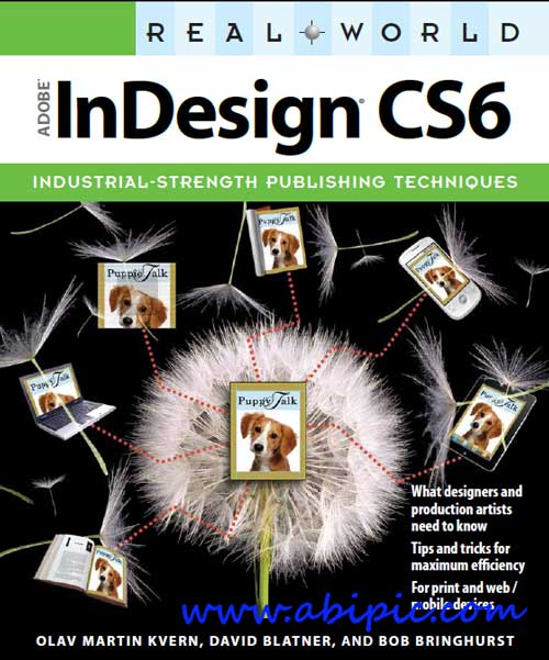 دانلود کتاب آموزش ایندیزاین Real World Adobe InDesign CS6