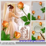 عکس های بسیار زیبا از دنیای حیوانات شماره 1
