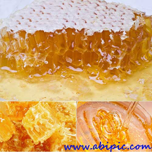 دانلود تصاویر استوک عسل Stock Photo - Honey & Honeycomb