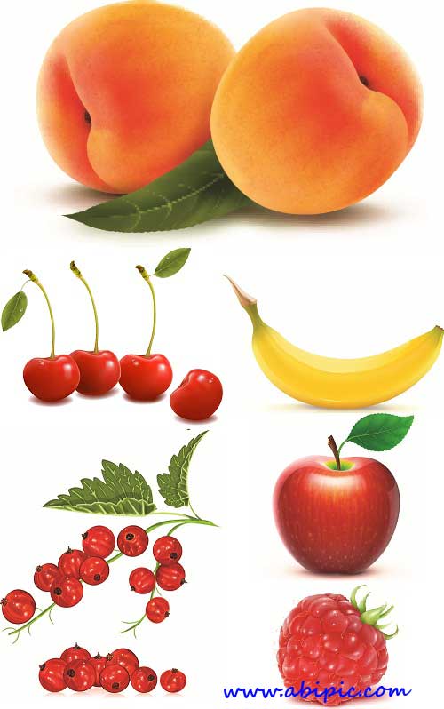 دانلود تصاویر وکتور استوک میوه های تازه shutter stock Juicy Fruit
