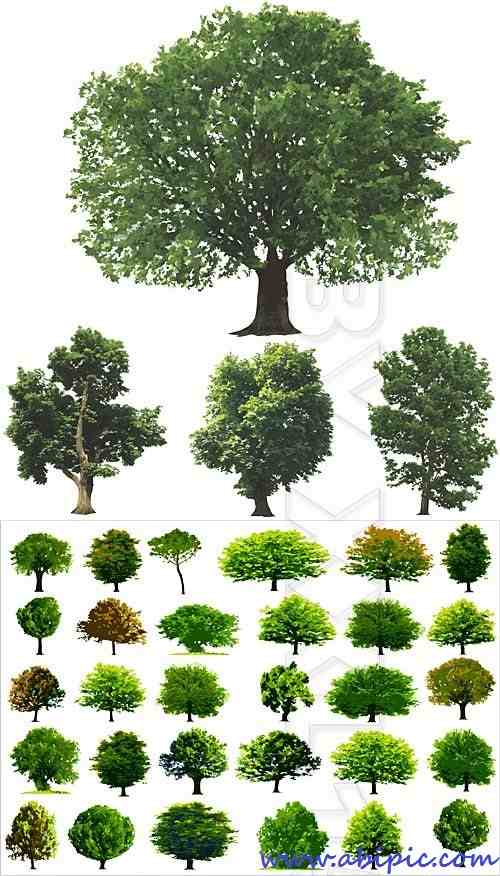 دانلود وکتور درخت های سبز Green trees vector 