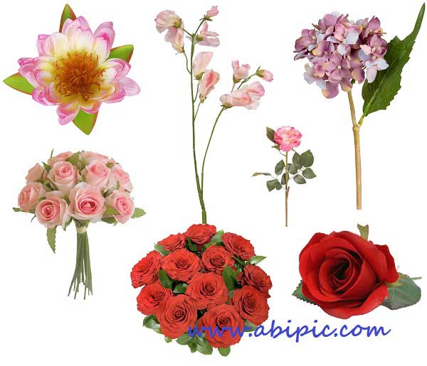 دانلود تصاویر پس زمینه شفاف گل برای طراحی Flower Scrap set 1