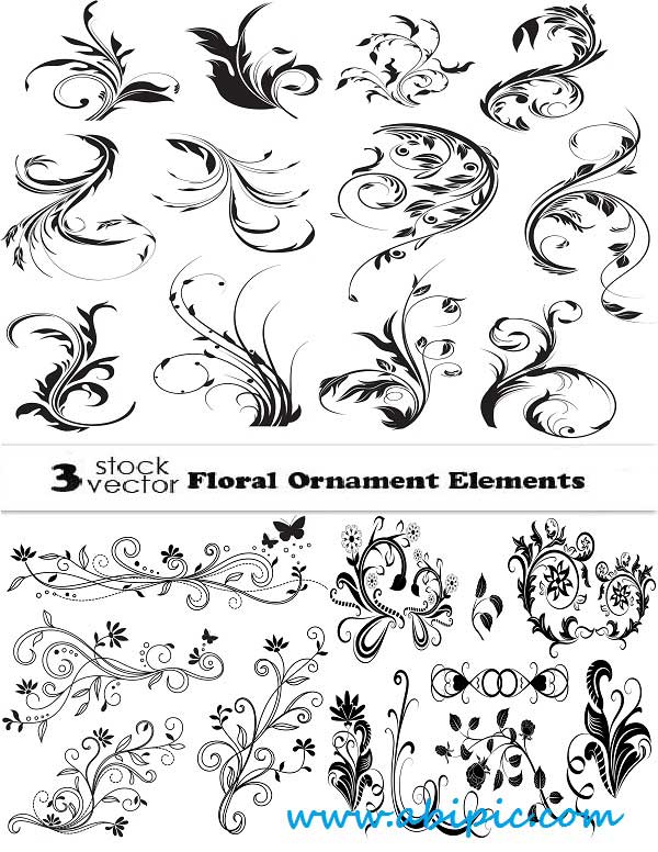 دانلود وکتور المان های تزئینی گل و بوته شماره 18 Vectors Floral Ornament Elements