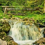 عکس های بسیار زیبا از رشته کوه آلپ