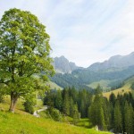 عکس های بسیار زیبا از رشته کوه آلپ