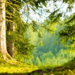 عکس های بسیار زیبا از رشته کوه آلپ