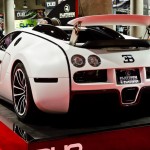 عکس های Plantinum