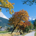 عکس های بسیار زیبا از رشته کوه آلپ