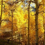 عکس های فصل پاییز