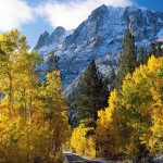 عکس های فصل پاییز