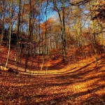 عکس های فصل پاییز