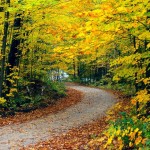 عکس های فصل پاییز