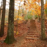 عکس های فصل پاییز