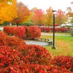 عکس های فصل پاییز