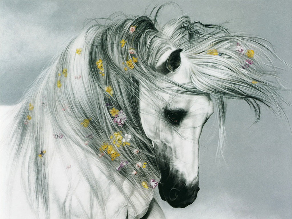 دانلود آثار هنری زیبا از دنیای حیوانات از هنرمند Lesley Harrison
