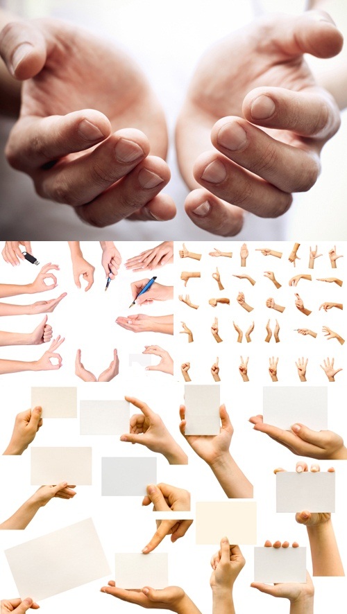 دانلود تصاویر استوک حالتهای مختلف دست Stock Photo - Different Hand Gestures