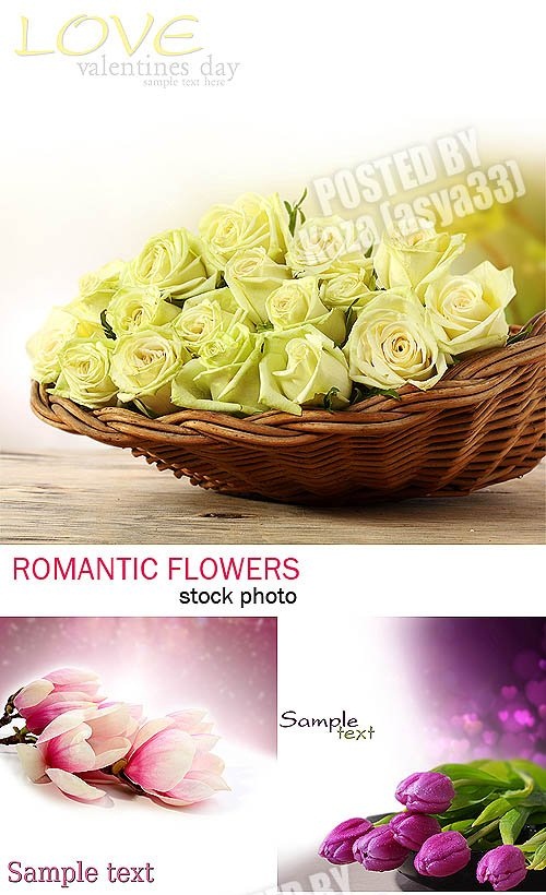 دانلود تصاویر استوک دسته گل های زیبا Flower bouquets Stock Photo