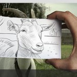 تصاویر هنرنمایی زیبا از تلفیق نقاشی و عکس