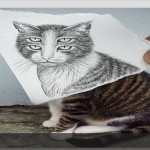 تصاویر هنرنمایی زیبا از تلفیق نقاشی و عکس