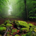 عکس های جالب از گوشه کنار جهان