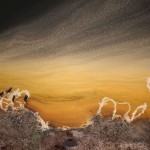 عکس هوایی از حیوانات