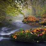 عکس رودخانه