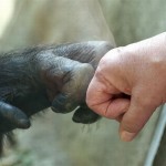 عکس های جالب از گوشه کنار جهان