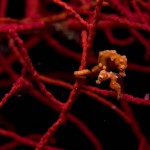 عکس های جالب از گوشه کنار جهان