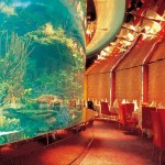 تصاویری از برج العرب در دبی