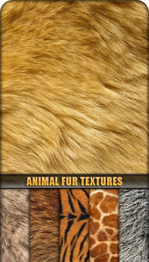 دانلود تکسچر پوست و موی حیوانات Animal Fur Textures