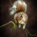 دانلود نقاشی های بی نظیر دنیا