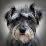 دانلود نقاشی های بی نظیر دنیا