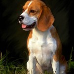 دانلود نقاشی های بی نظیر دنیا