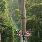 زیباترین جاده ها و مسیرهای دنیا