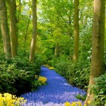 زیباترین جاده ها و مسیرهای دنیا