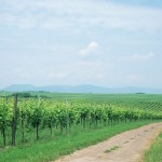 تصاویری زیبا از مکان های توریستی آلمان