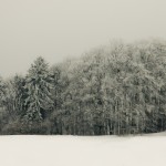 تصاویری بسیار زیبا از فصل زمستان