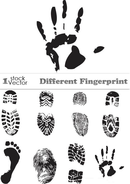 دانلود وکتورهای مختلف اثر انگشت، کف دست و کفش Different Fingerprint Vector