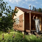 اسـرار زنـدگی مورچـه ها به روایـت تصویـر !