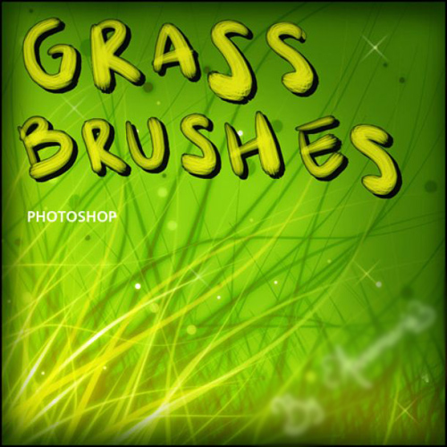 دانلود براش سبزه و چمن برای فتوشاپ Grass Brushes
