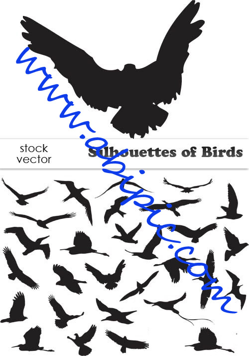 دانلود وکتور سیاه و سفید پرندگان Silhouettes of Birds